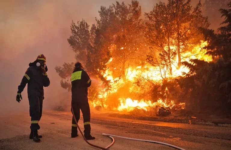 שריפה בפנטליה, גלטרייה וסלמיו: 5 דונם נהרסו
