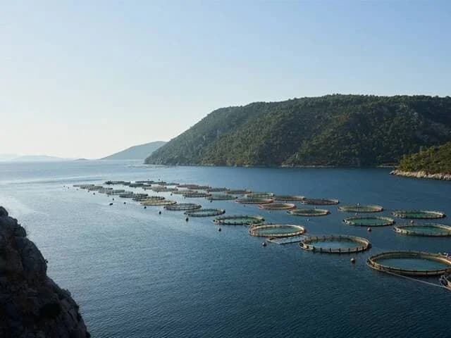 Avramar: Aqua Bridge Toma el Control
