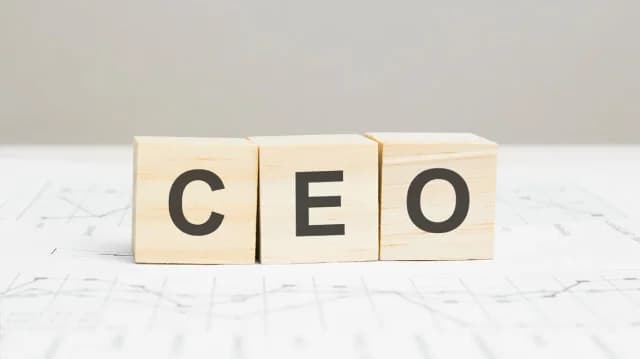 CEOs prognostizieren die Zukunft des IT-Marktes nach dem RRF