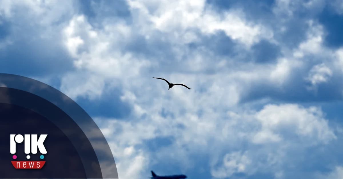 Pronóstico del tiempo: polvo en la atmósfera, clima templado