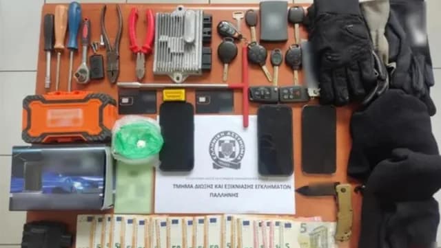 帕利尼：因企图盗窃摩托车被捕