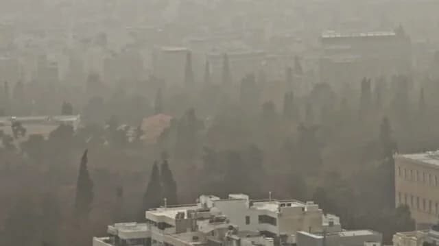 אבק אפריקאי הופך את הגן הלאומי באתונה ל'יער טרופי' – סרטון