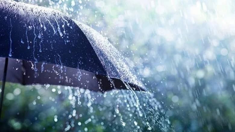Almost 50% of February Rainfall Recorded in Three Days