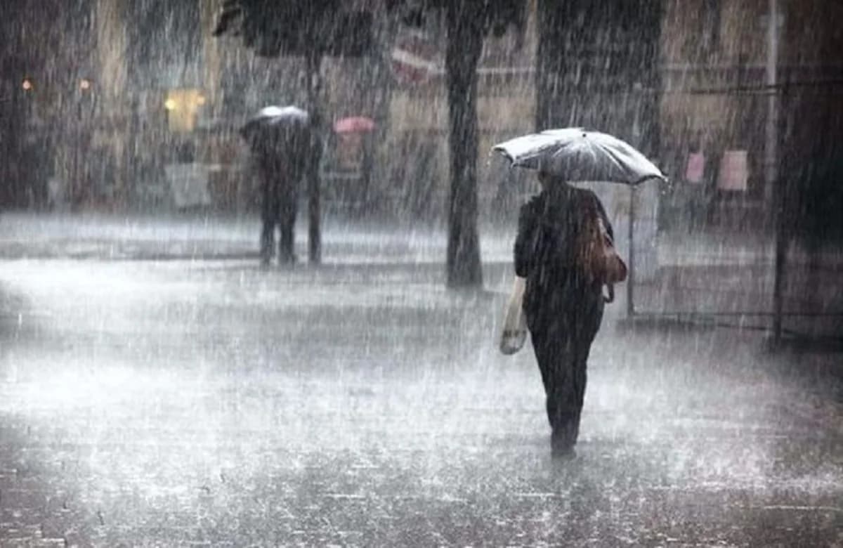 Almost 50% of February Rainfall Recorded in Three Days
