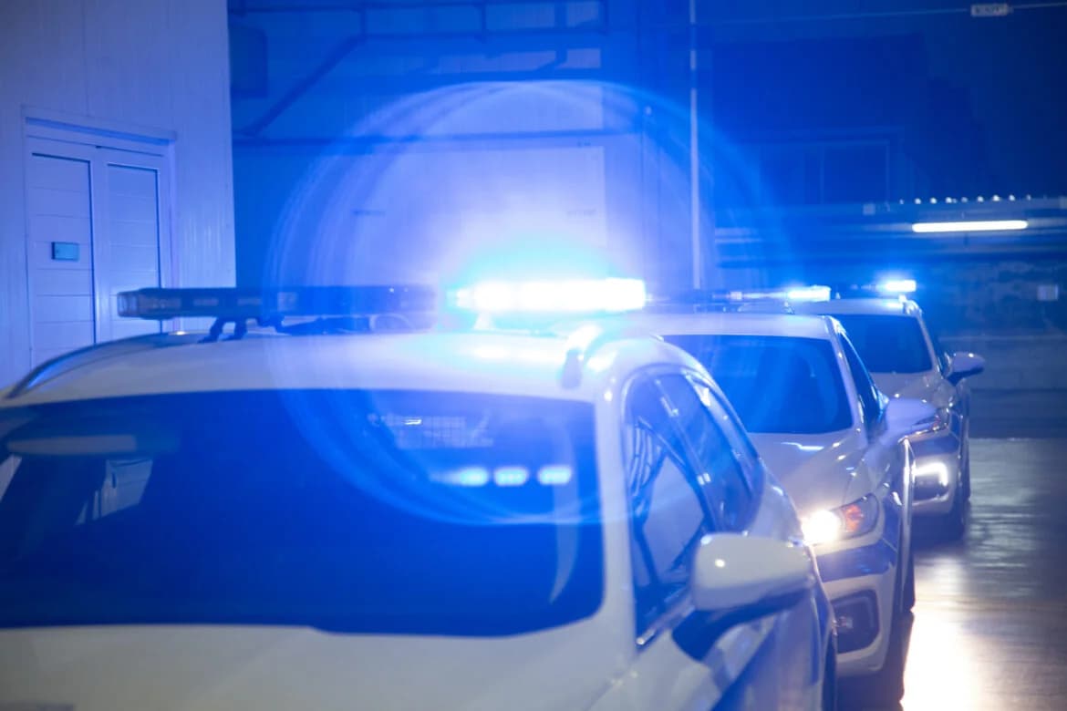 Razzia in Paphos: Festnahmen und Rückführungen