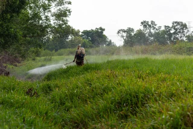 Trump will Glyphosat-Produktion in den USA ankurbeln