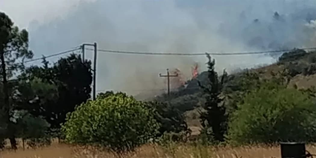 ETEK gibt Frühwarnung vor Waldbränden aufgrund erhöhter Vegetation heraus