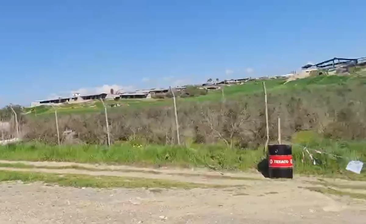 Foot-and-Mouth Disease: Roads to livestock farms closed in Larnaca district