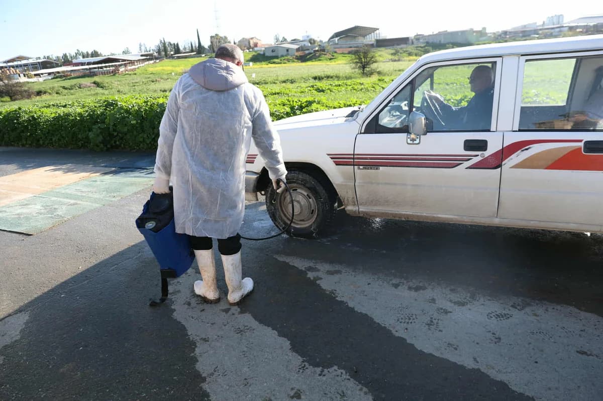 塞浦路斯：欧盟专家处理口蹄疫 – 实施严格措施