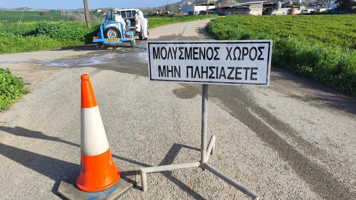 欧盟专家抵达塞浦路斯调查口蹄疫