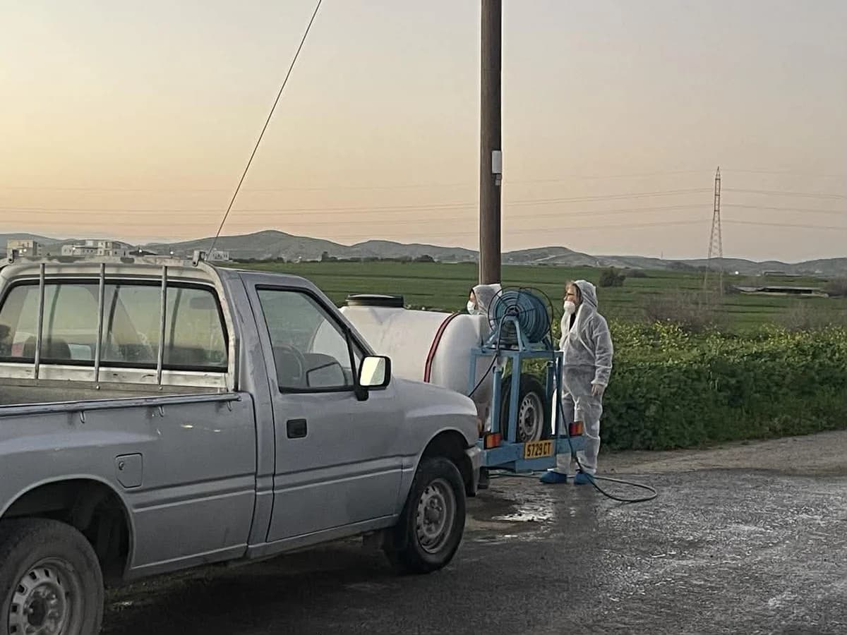 קדחת הפה והטלפיים: איסור ארצי על תנועת בעלי חיים בקפריסין
