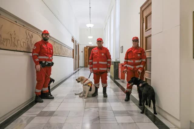 Parlament spendet Rettungshunde King und Kira an Rotes Kreuz