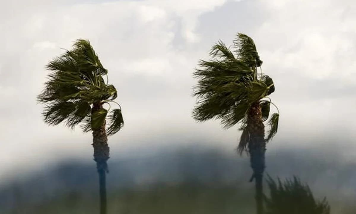 冷锋逼近：预计有雨、暴风和强风