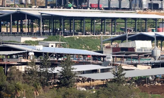Παραδόθηκαν 10.000 δόσεις εμβολίου για τον αφθώδη πυρετό από τα κατεχόμενα