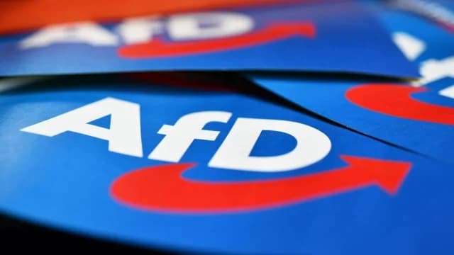 גרמניה: פסיקת בית משפט לגבי סיווג מפלגת אלטרנטיבה לגרמניה (AfD)