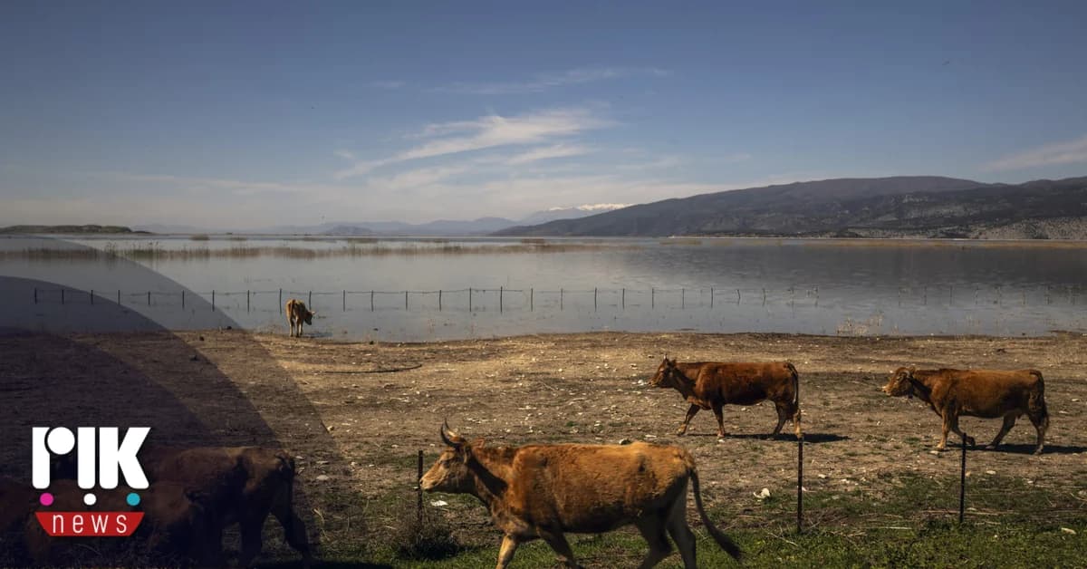 Συνεχής επιφυλακή στον Έβρο μετά τις πλημμύρες