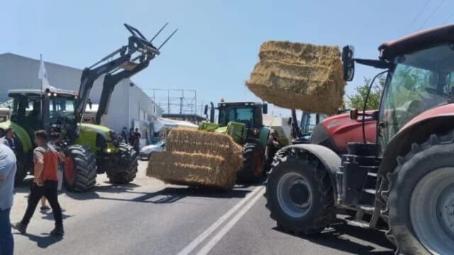 חקלאים ומגדלי בקר חוסמים את ריזומילוס עקב אבעבועות כבשים
