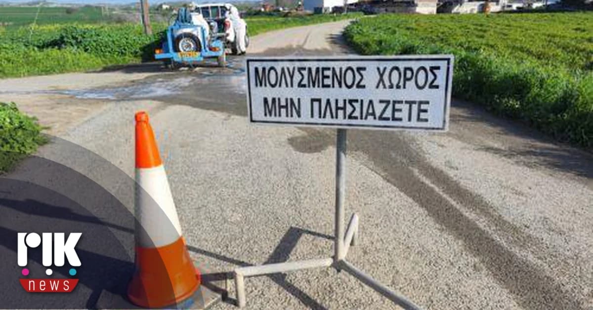 Neue Fälle von Maul- und Klauenseuche im Bezirk Larnaka