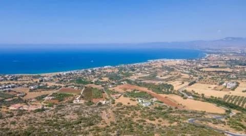 Γ. Πολυκάρπου: Σημαντική η ενημέρωση για την προστασία στην Τίμη