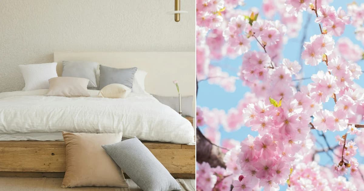 Frühlings-Reset für Zuhause: 5 kleine Änderungen für bessere Laune
