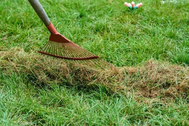 Frist für Grundstücksreinigung beginnt, strenge Strafen