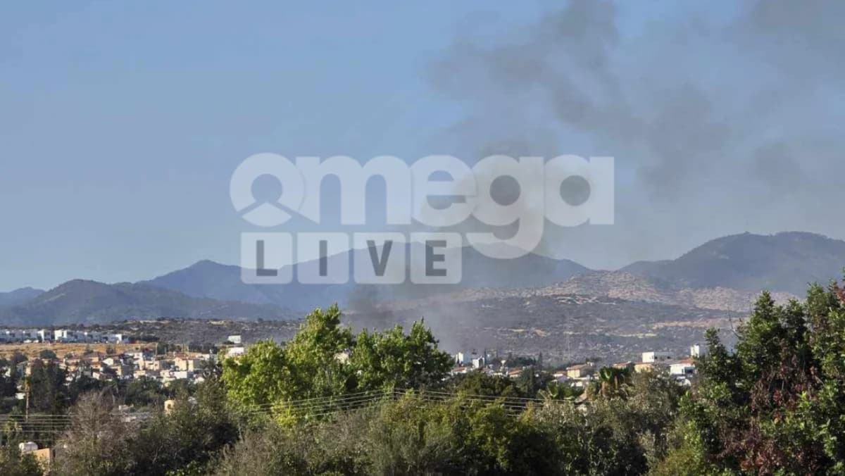 Πυρκαγιά στη Λεμεσό: Άμεση επέμβαση απέτρεψε επέκταση σε κατοικίες