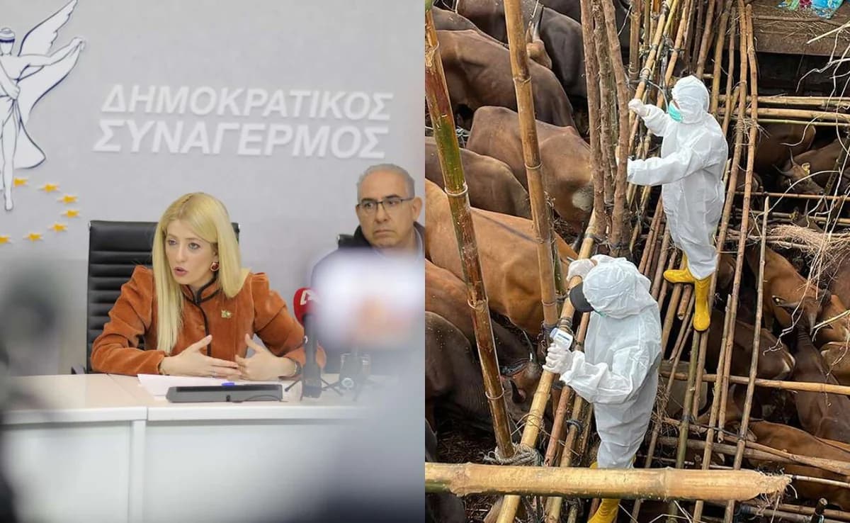 Аннита Димитриу призывает к отставке министра сельского хозяйства из-за ящура