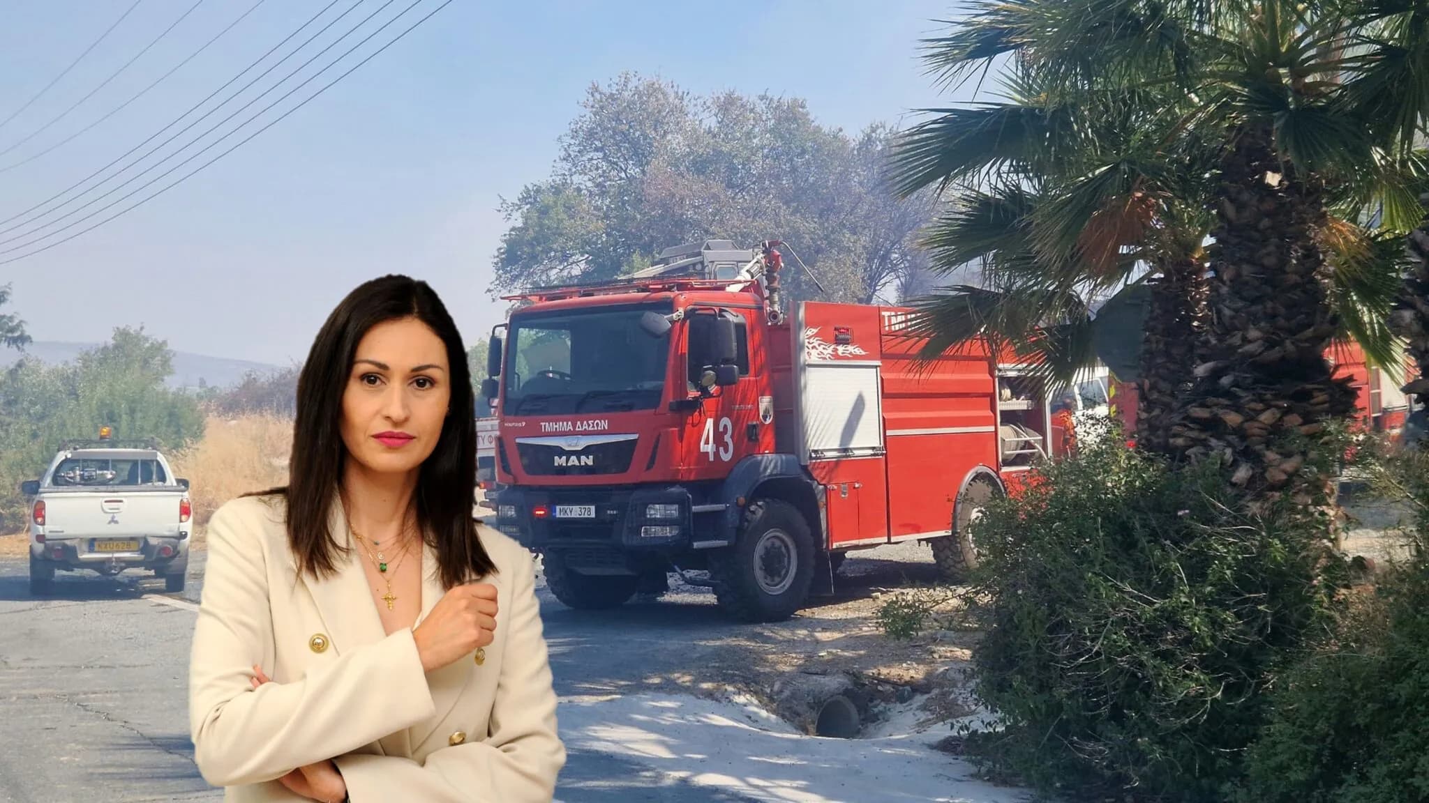 שריפה באומודוס, קפריסין: בשליטה במהלך פגישת השרה