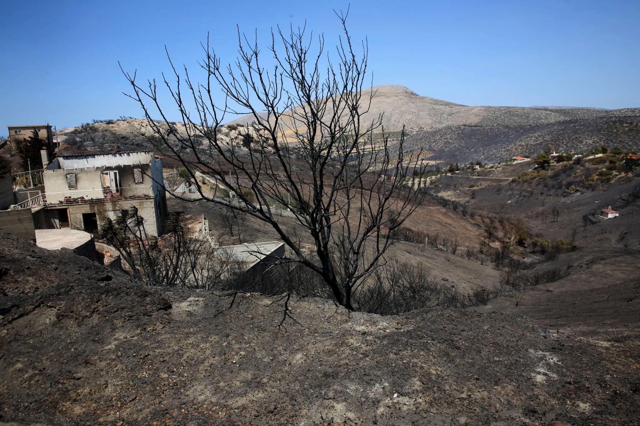 Fire in Eastern Attica Under Control, 40,000 Acres Burned